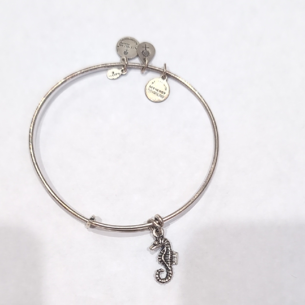 Alex and Ani Silver Charm Bracelets